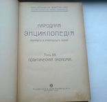 Политическая Экономия 1911 г., фото №4