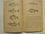1959 Ловля рыбы на кружки Бернштейн, фото №10