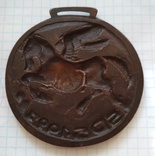 Медаль SDS 1927, фото №5