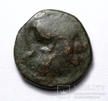 Македонське царство, Антигон ІІ Гонат, 274(3)-229 до н.е. – Афіна / Пан та трофей, фото №4