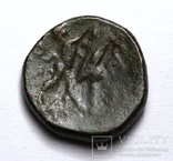 Македонське царство, Антигон ІІ Гонат, 274(3)-229 до н.е. – Афіна / Пан та трофей, фото №7
