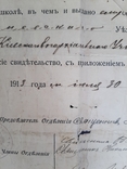 Свидетельство 300 лет дому Романовых, 1913г. Оригинал., фото №8