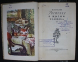 Н.Верзилин,,Растения в жизни человека,,1954р., фото №5