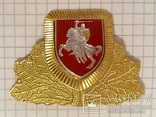 Capbadge Belarus 1993-1995 customs badge for visor peaked cap MützenAbzeichen Zoll Zollamt, фото №2
