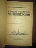 Биография писателя- Чехов. Достоевский. Чернышевский. Гашек- 4 книги, фото №5