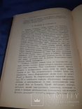 1897 Архитектура эпохи возрождения в Италии, фото №5