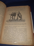 1908 Производство вин и приготовление консервов, фото №2