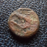 Монета   Ольвии  (,11.4.24)~, фото №4