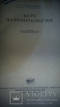 Курс палеонталогии"Л.Ш.Давиташвили 1949г,тир.5000., фото №3