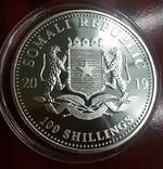 2019 г - 100 шиллингов Сомали,унция серебра,в капсуле, фото №3