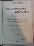 Скандинавская Литература 1902 г. Киев.норвежские писатели,портретом автора, фото №2