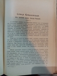 Скандинавская Литература 1902 г. Киев.норвежские писатели,портретом автора, фото №8