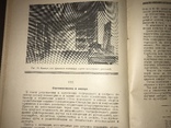 1926 Семена в Украине, фото №11