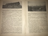 1926 Семена в Украине, фото №12