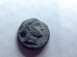 Ольвия монета, фото №2