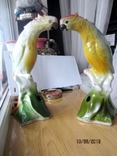 Два попугая фарфор Германия, H=33см, фото №2
