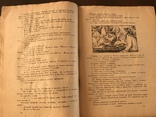 1924 Детский журнал Новый Робинзон 11, фото №6