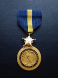 Медаль ВМФ США за отличную службу, фото №2