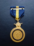 Медаль ВМФ США за отличную службу, фото №3