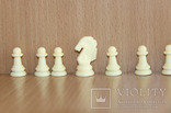 Шахматы магнитные 25 фигур для доукомплектации, фото №4