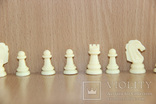 Шахматы магнитные 25 фигур для доукомплектации, фото №5