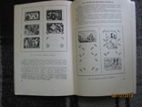 Шлеев В., Файнштейн Э. Художественные открытки и их собирание, М., 1960, фото №9