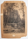 Шишкин И. И. "Весна". Оригинальный офорт. 1885 г., фото №9