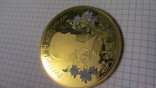 Коллекционная медаль "принцесса Диана", фото №5