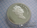 1 доллар 1991 год Фронтенак, фото №4