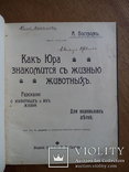 Как Юра знакомится с жизнью 1911г. Иллюстрации., фото №3