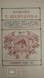 Малюнки Тараса Шевченка, Вип. ІІ, Петербург, 1914 рік., фото №5