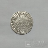 Литовський грош 1535р, фото №7