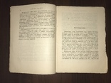 1902 Фальсификация Хлеб, Сыры, мясо, Како, фото №5