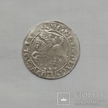 Литовский грош 1536р, фото №4