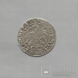 Литовский грош 1536р, фото №7