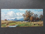 Альбом с  открытками, многие довоенные (открыток 81 шт ,наклеены ), photo number 3