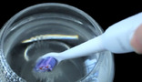 SONIC высокотехнологическая электрическая зубная щетка Seago, фото №5