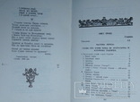 Огієнкіяна.  Митр. Іларіон. Слово про Ігорів похід. Прижиттєве, фото №5