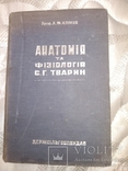 1934 Анатомия и физиология с.х. животных. Ветеренария, фото №3