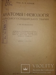 1934 Анатомия и физиология с.х. животных. Ветеренария, фото №4