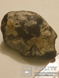Камінь, чорний кремінь, схожий на антропоморфний череп (неолітичний амулет?), фото №6