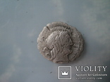  Денарий монетария Q. Antoninus Balbus , 83-82 гг. до н. э.(двойной удар), фото №2
