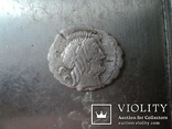  Денарий монетария Q. Antoninus Balbus , 83-82 гг. до н. э.(двойной удар), фото №3