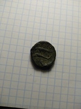 Монета Ольвии, фото №5