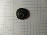 Монета Ольвии, фото №11