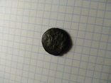 Монета Ольвии, фото №12