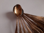 Серебряные Чайные ложечки  ( серебро 800 , позолота , вес 224 гр. ), фото №13