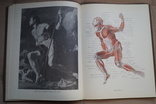 Книга Рабинович М.Ц. Пластическая анатомия и изображение человека на ее основах., фото №12