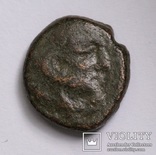 Македонія, м.Амфіполіс, 148-32/1 до н.е. – Геракл / лев (2), фото №3