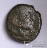 Македонія, м.Амфіполіс, 148-32/1 до н.е. – Геракл / лев (2), фото №5